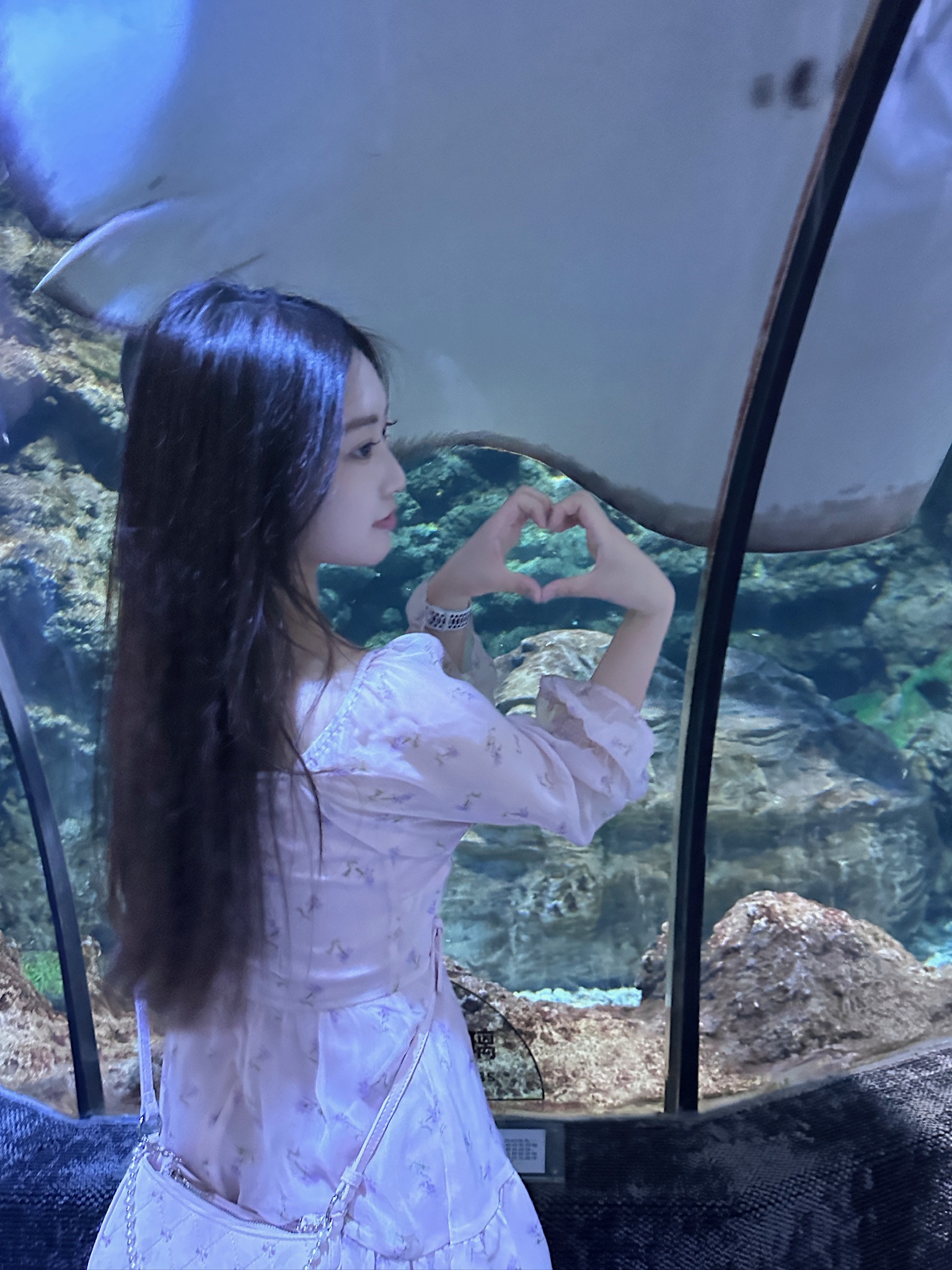 海洋馆